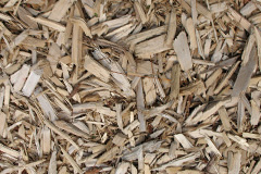 biomass boilers Andersea